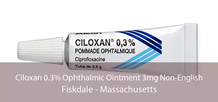 Ciloxan 0.3% Ophthalmic Ointment 3mg Non-English Fiskdale - Massachusetts
