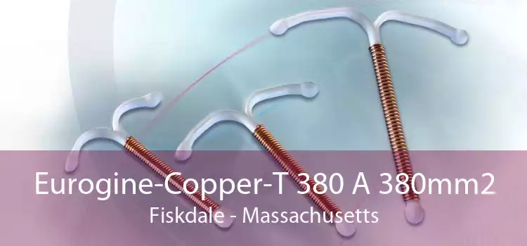 Eurogine-Copper-T 380 A 380mm2 Fiskdale - Massachusetts