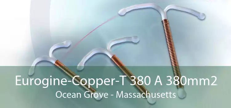 Eurogine-Copper-T 380 A 380mm2 Ocean Grove - Massachusetts