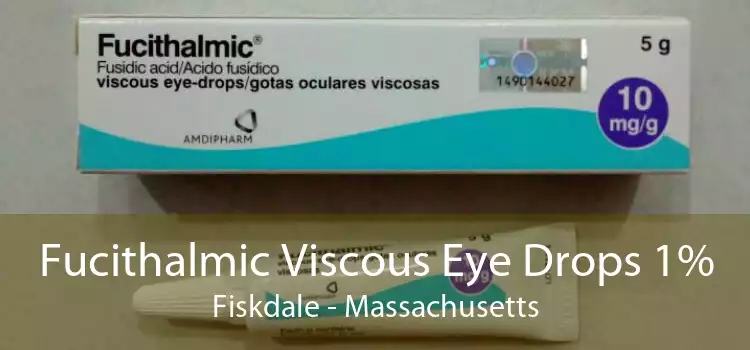 Fucithalmic Viscous Eye Drops 1% Fiskdale - Massachusetts
