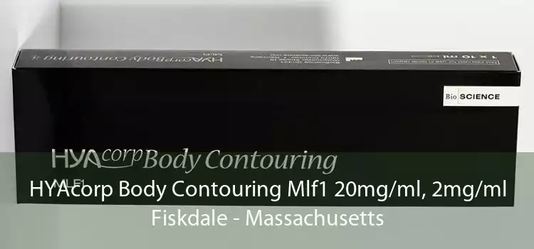 HYAcorp Body Contouring Mlf1 20mg/ml, 2mg/ml Fiskdale - Massachusetts