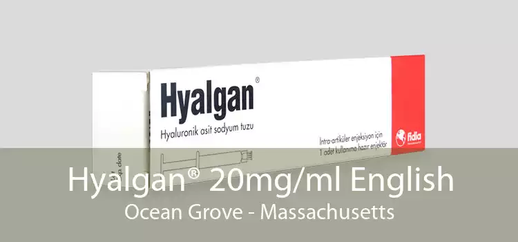 Hyalgan® 20mg/ml English Ocean Grove - Massachusetts