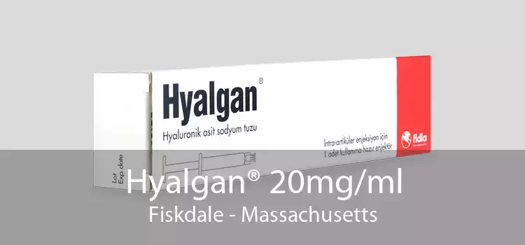 Hyalgan® 20mg/ml Fiskdale - Massachusetts