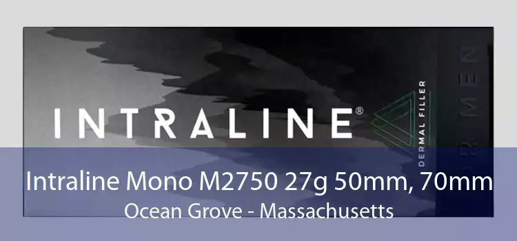 Intraline Mono M2750 27g 50mm, 70mm Ocean Grove - Massachusetts
