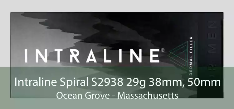 Intraline Spiral S2938 29g 38mm, 50mm Ocean Grove - Massachusetts