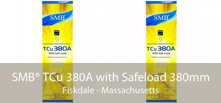 SMB® TCu 380A with Safeload 380mm Fiskdale - Massachusetts