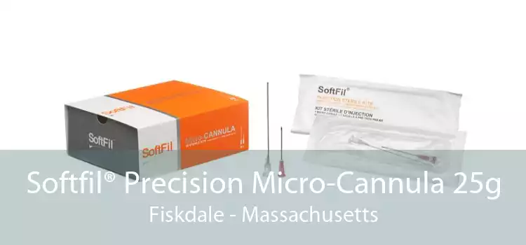 Softfil® Precision Micro-Cannula 25g Fiskdale - Massachusetts