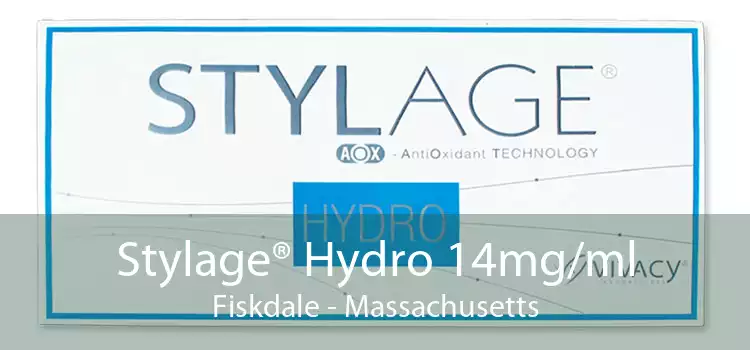 Stylage® Hydro 14mg/ml Fiskdale - Massachusetts